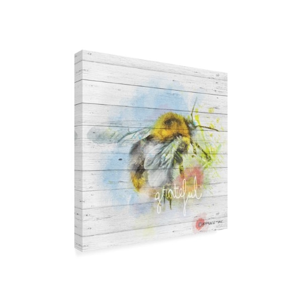 ALI Chris 'Bee Grateful' Canvas Art,24x24